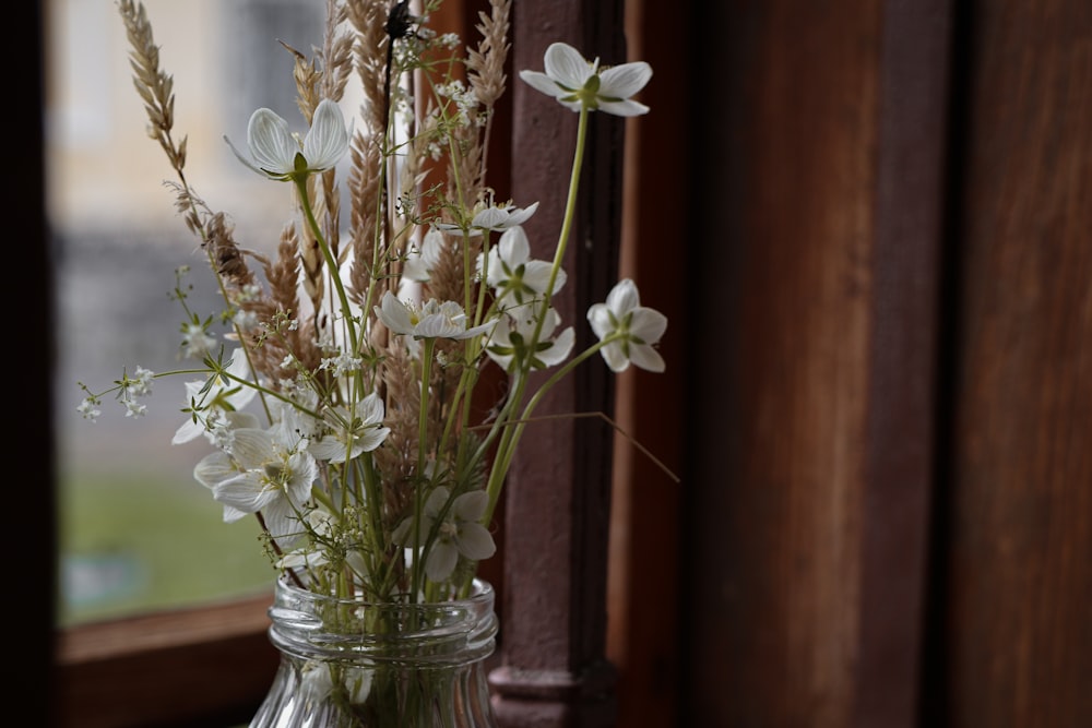 shallow focus photo of white flowers