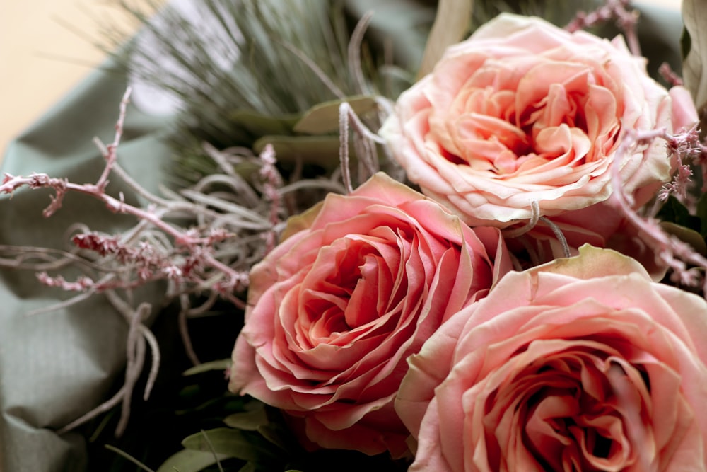 shallow focus photo of pink flowers