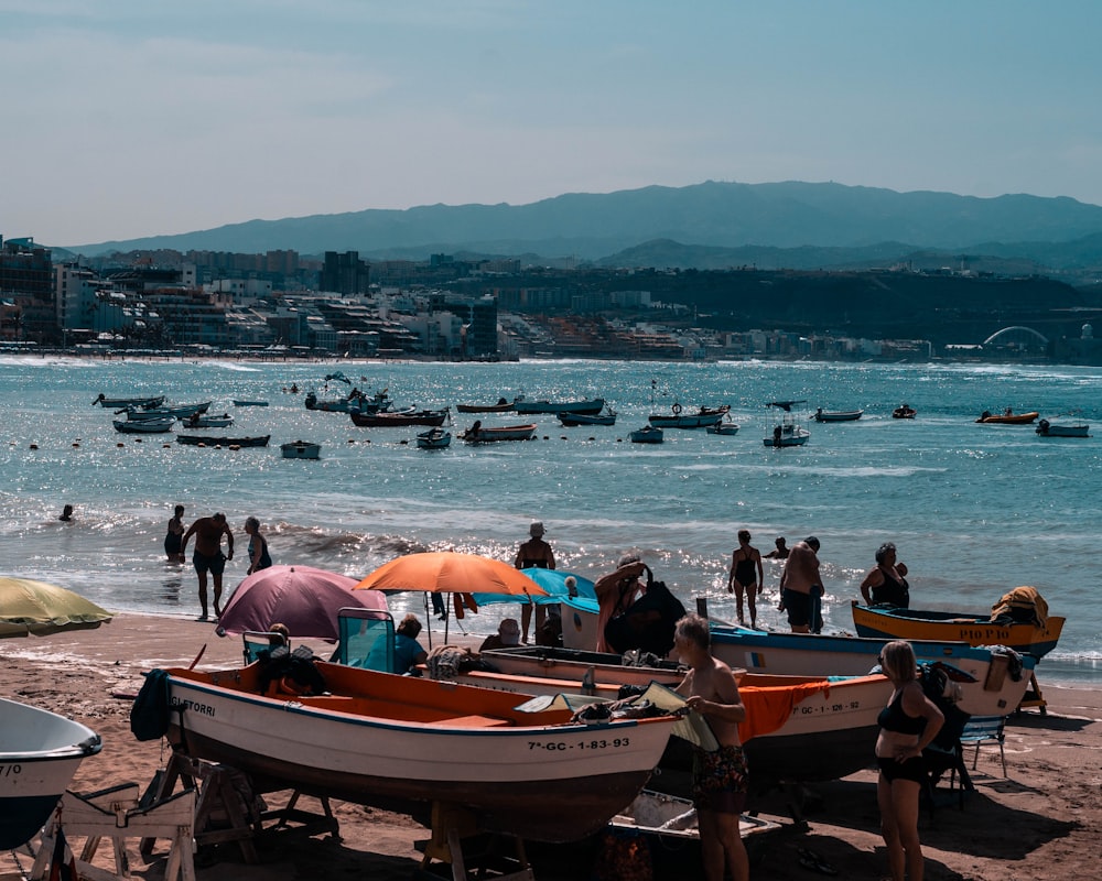 people on seashore during daytime