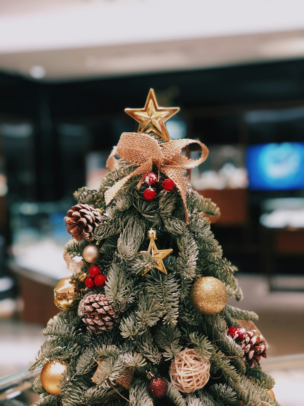 fotografía de enfoque selectivo de mini árbol de Navidad
