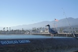 A seagull stands on a wooden beam labeled 'OVERHEAD CASTING' near a pier. In the background, an American flag waves on a flagpole, and a row of palm trees lines the waterfront against a backdrop of misty mountains. Several birds are flying in the sky, and fishing rods are visible.