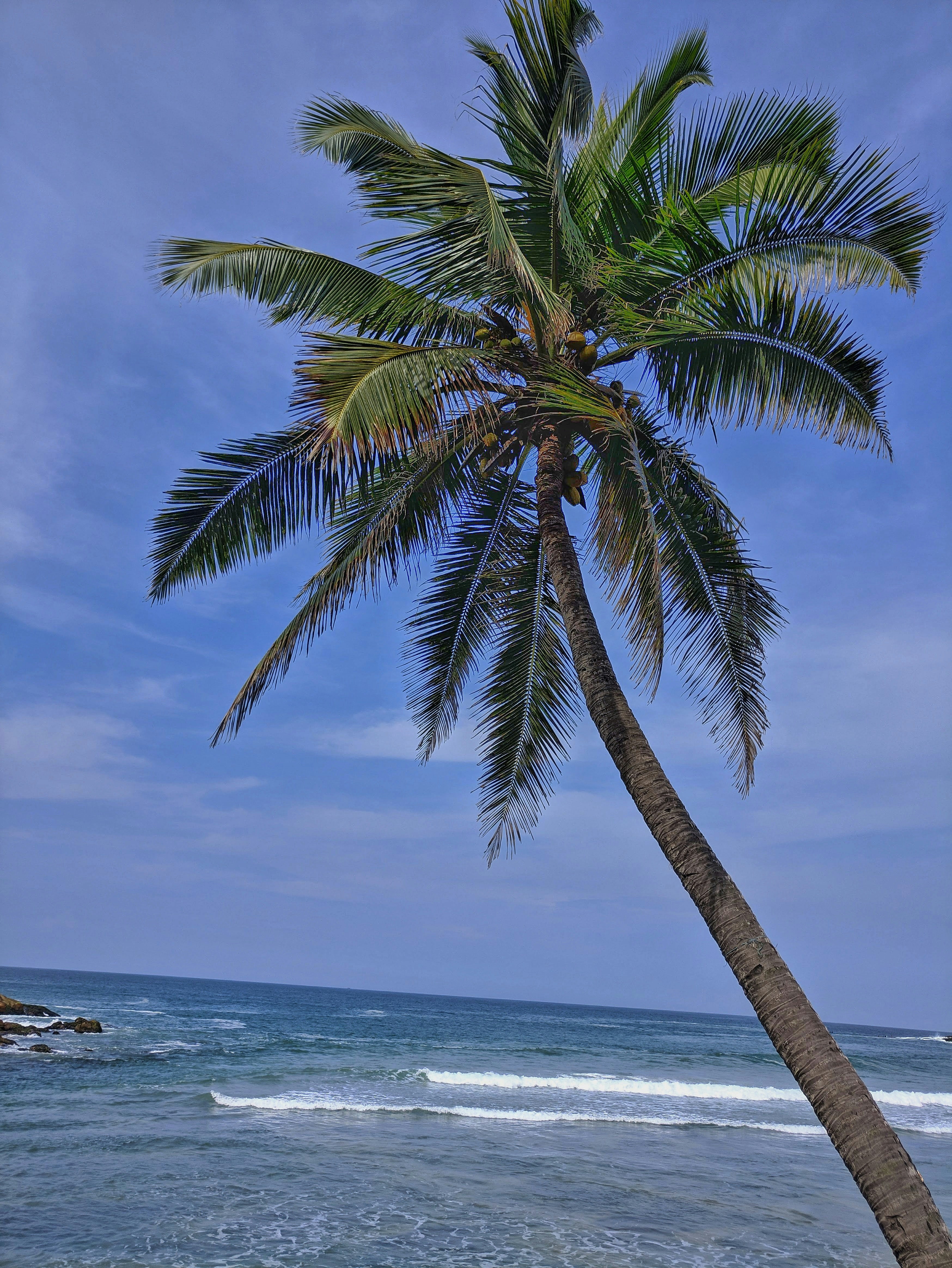 Photo by nishankrathore
