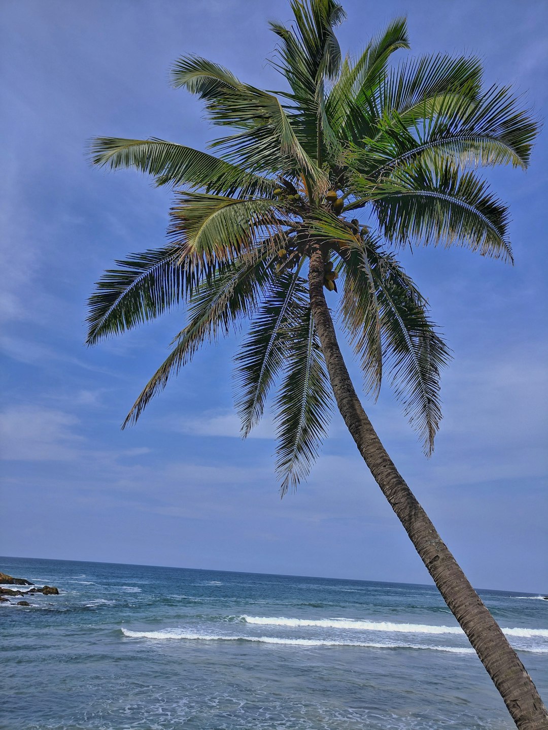 Travel Tips and Stories of Light House Beach in India