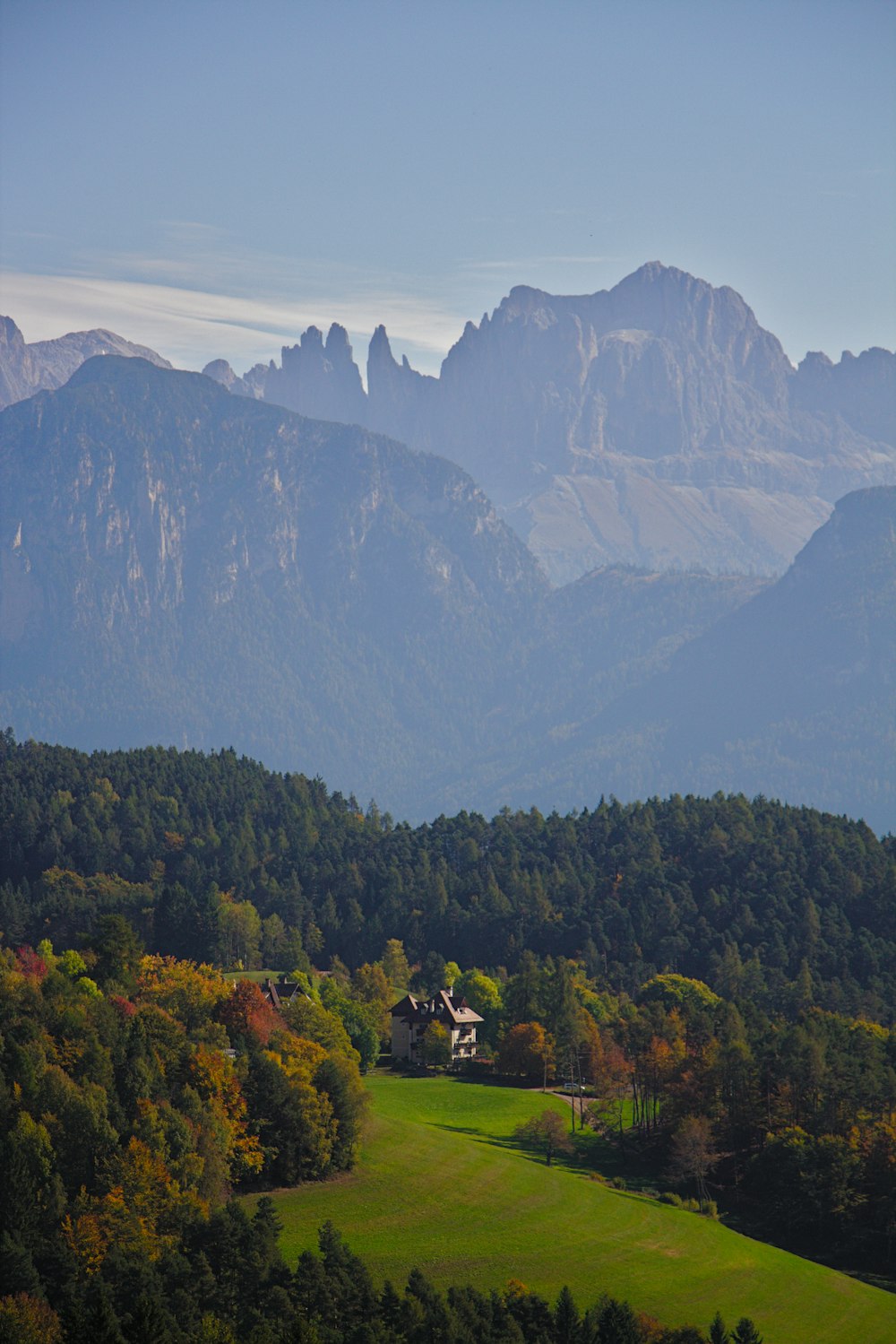 forest and mountains during day