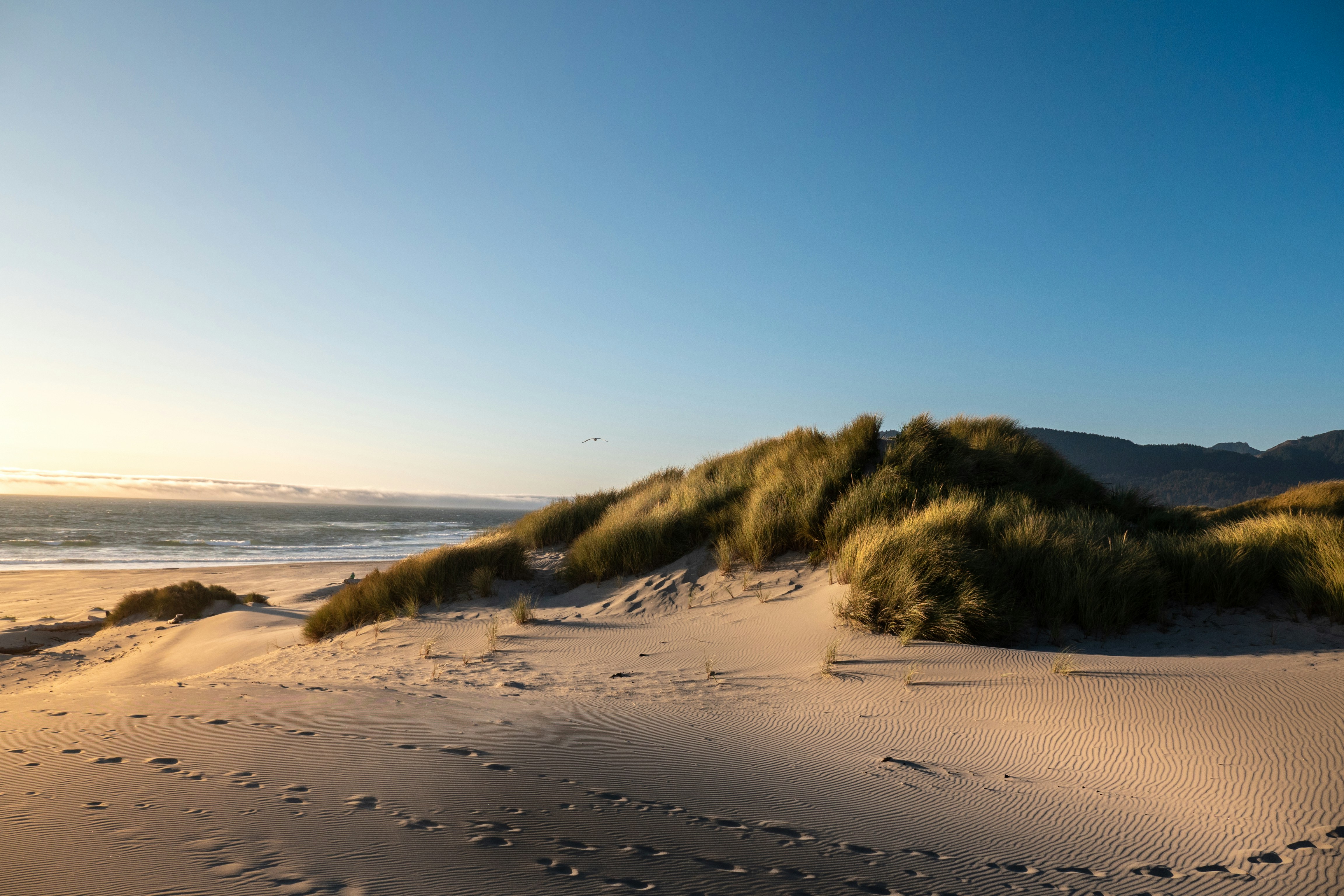 Photo by robbieshots