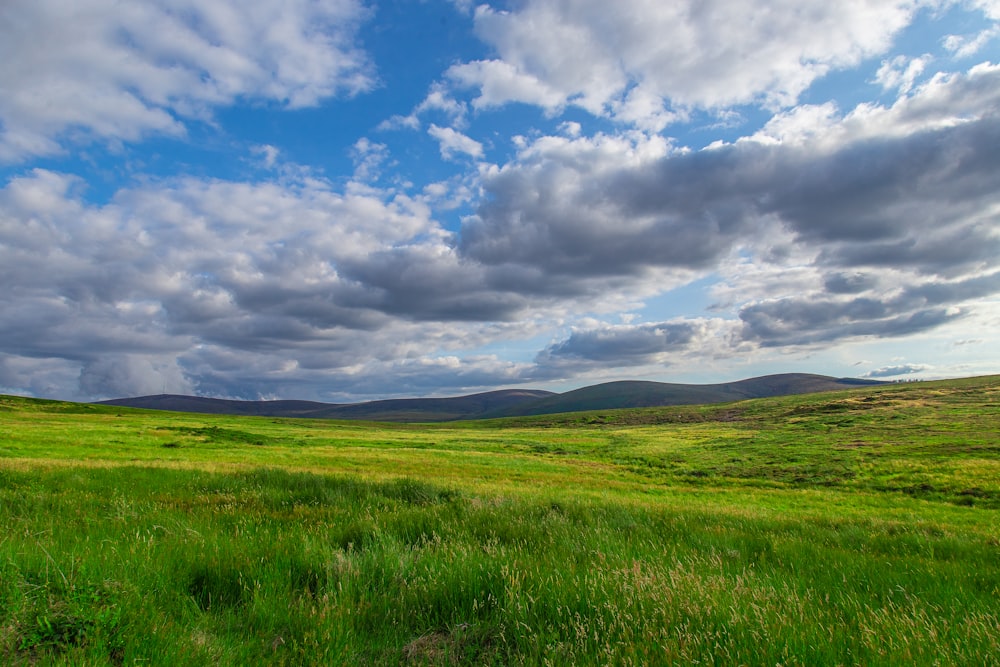 green fields under cloudy sky during daytime