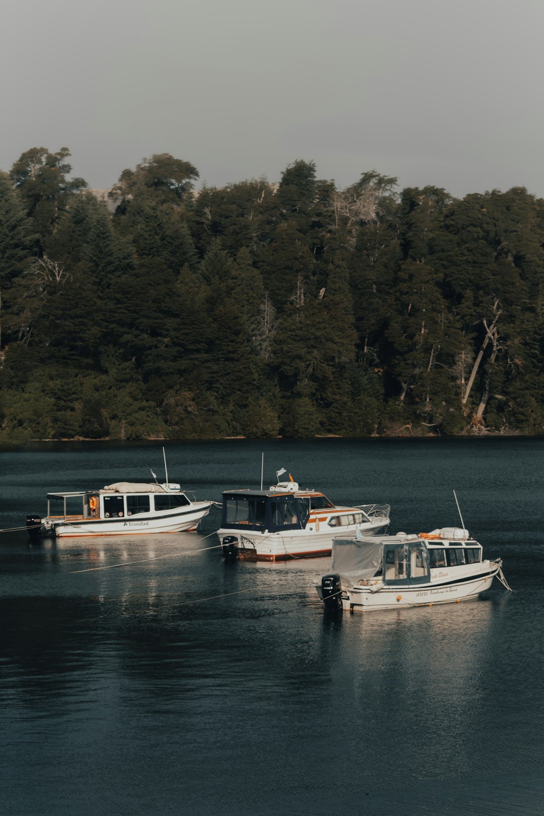 sailing boats