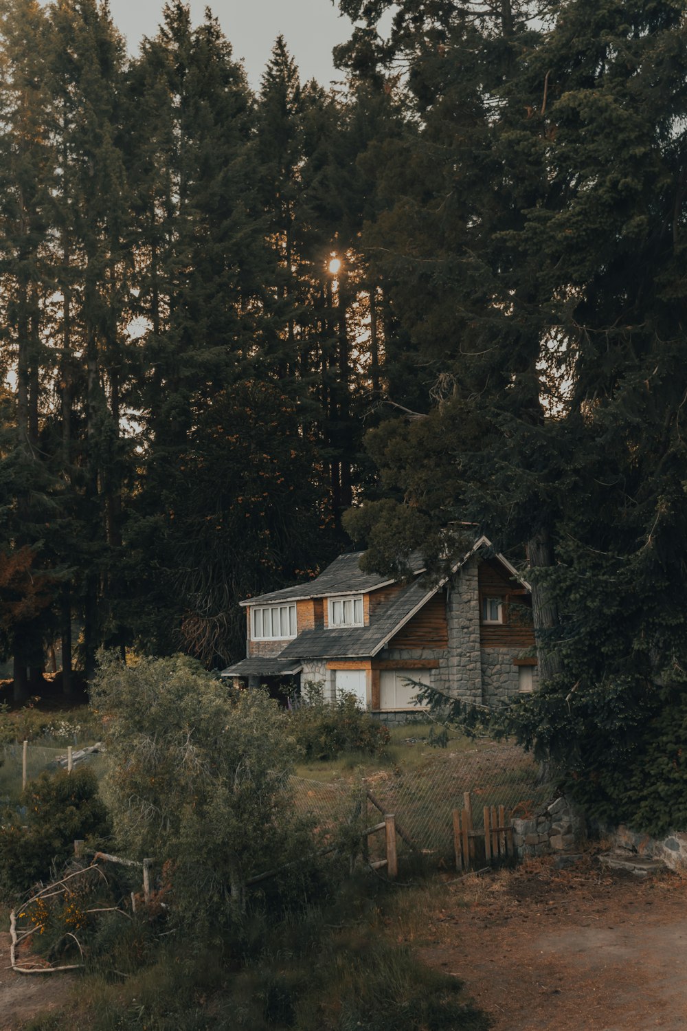 white and brown concrete house surrounded by trees