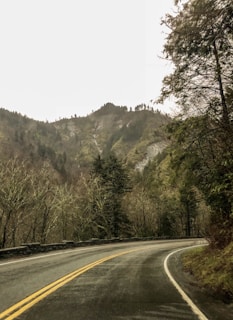 An abstract image of a road winding through a lush green forest.