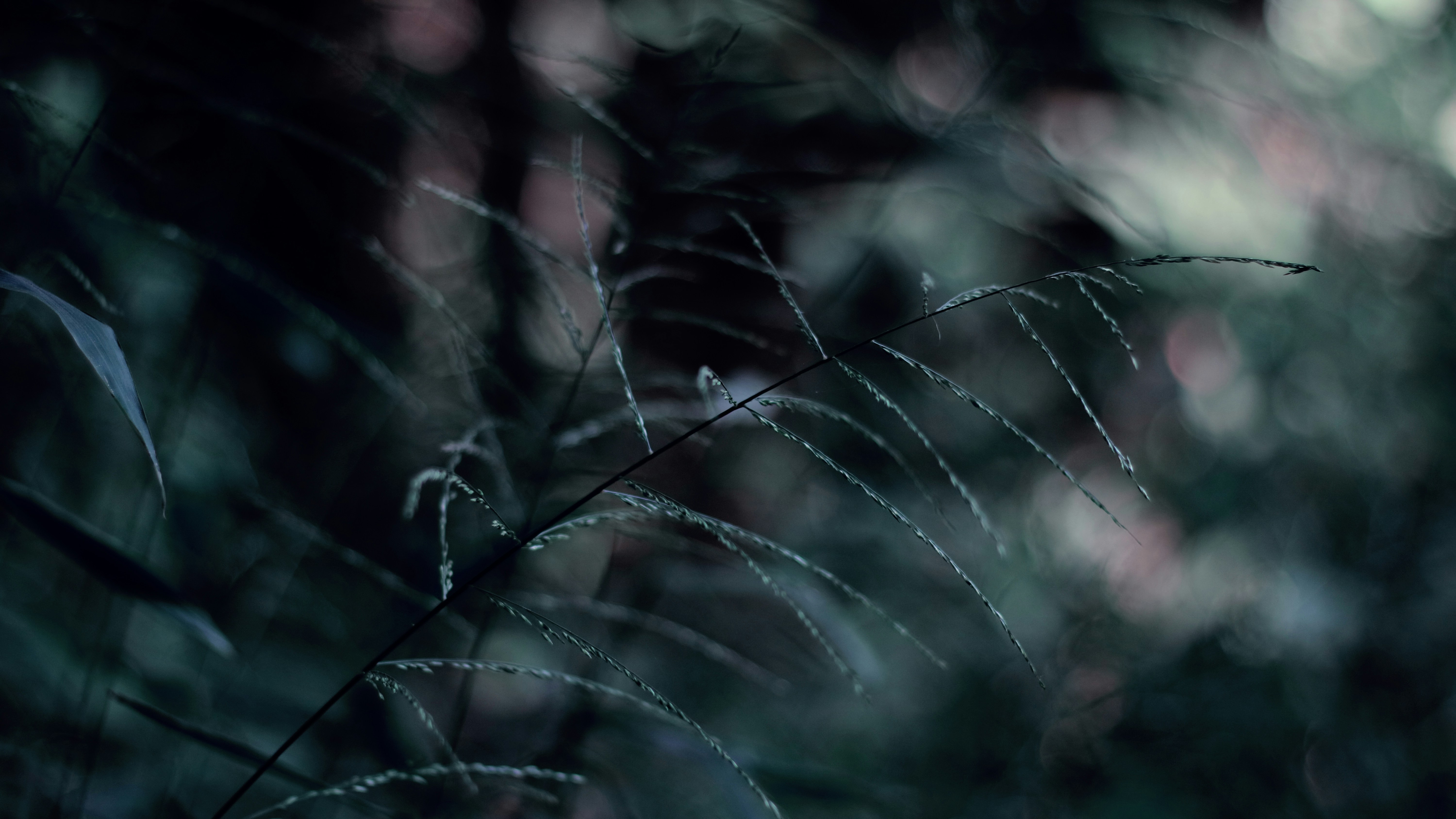 Photo by skyline_189