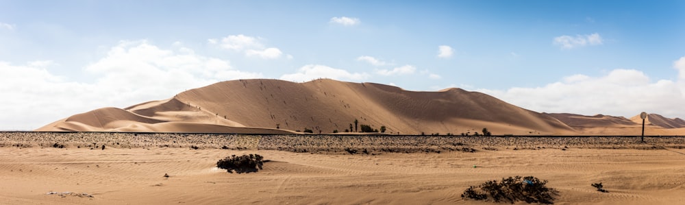 a desert landscape with a mountain in the background