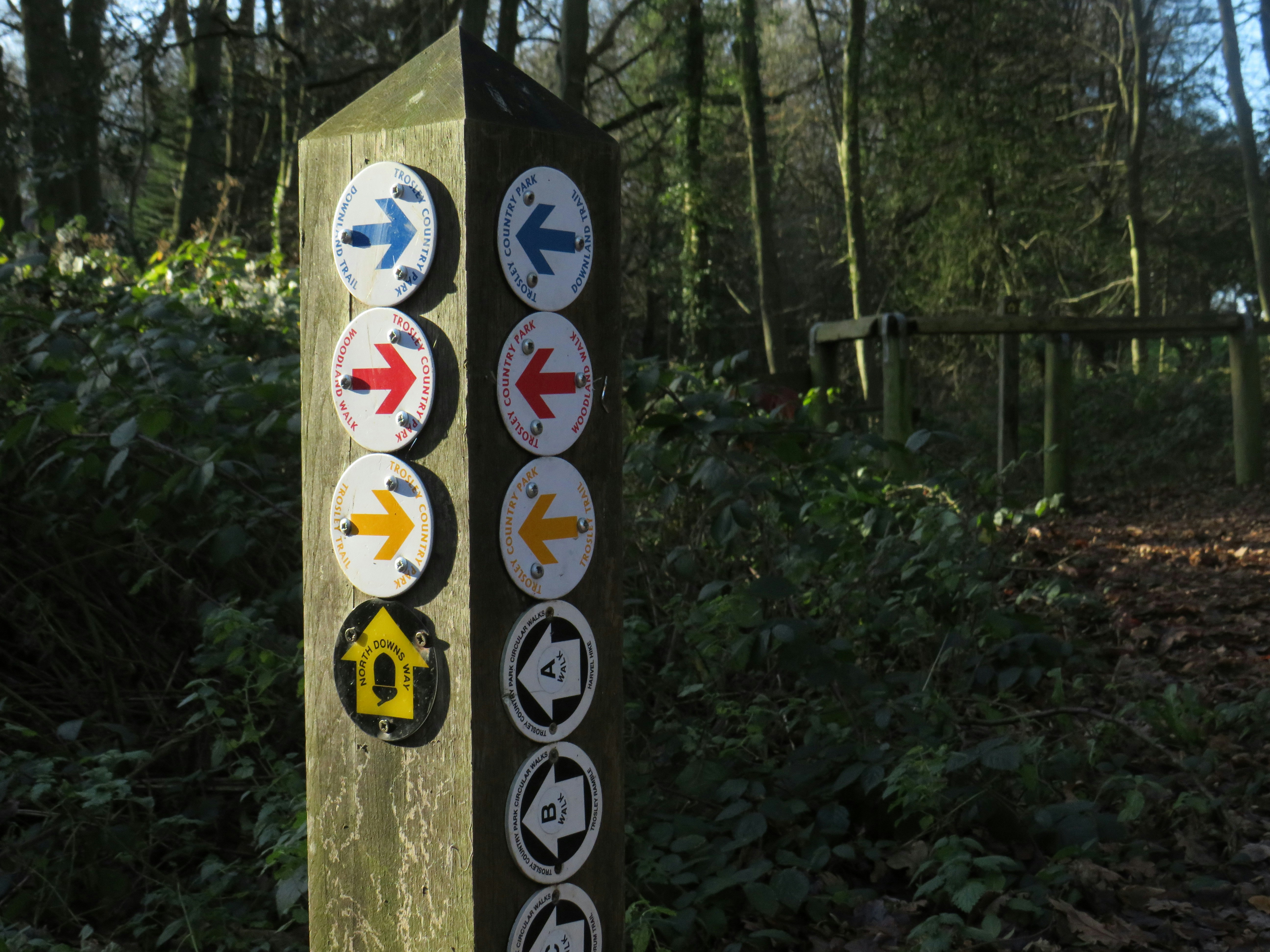 Photo by im_a_basic_capricorn14