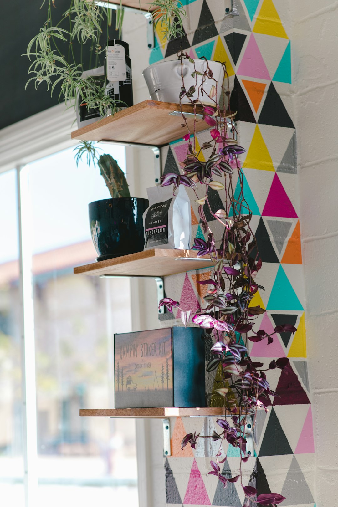 green cactus plant in green vase on floating shelf