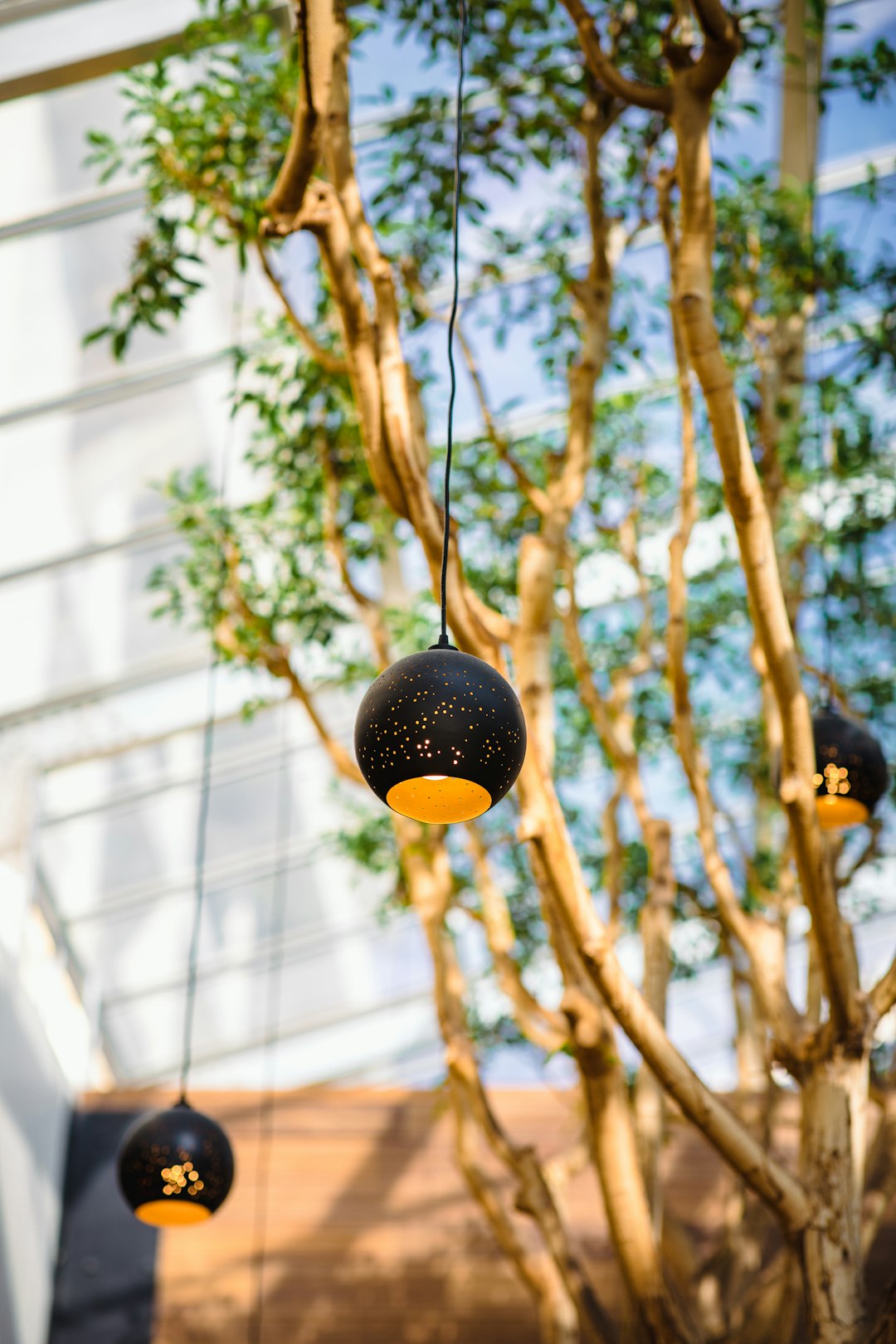 black pendant lamps during daytime
