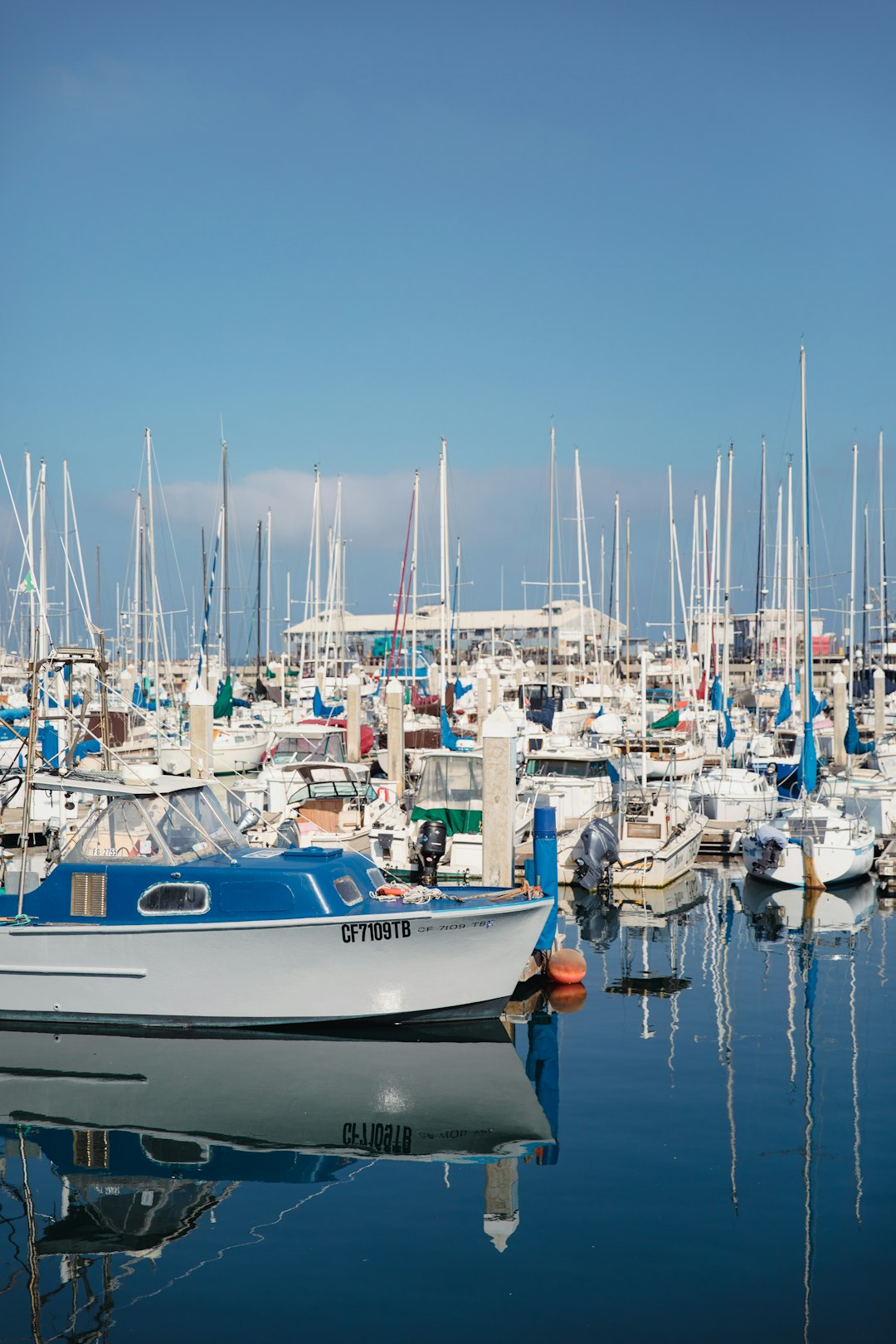 assorted boats on body of water during daytime