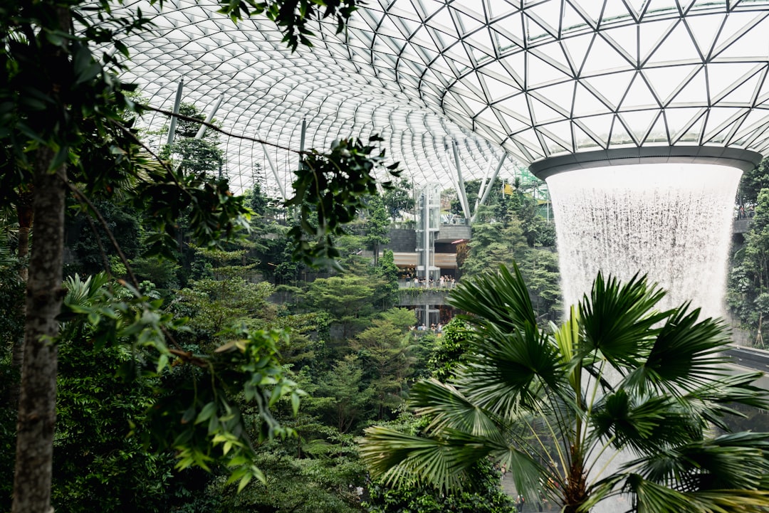 Rainforest photo spot Airport Boulevard Gardens by the Bay