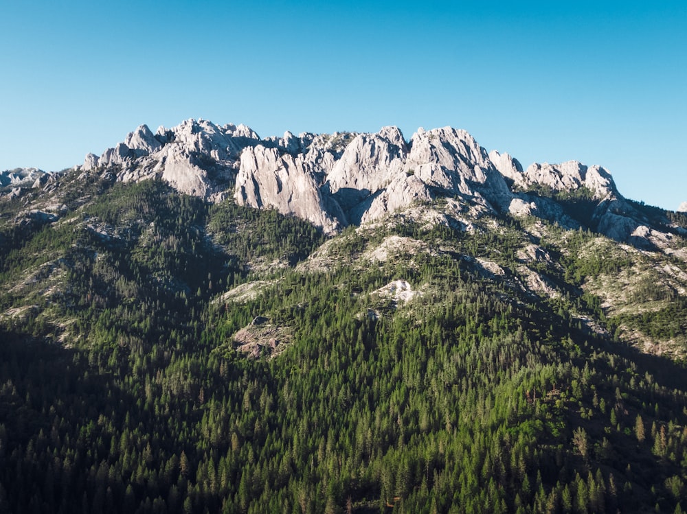 white mountains