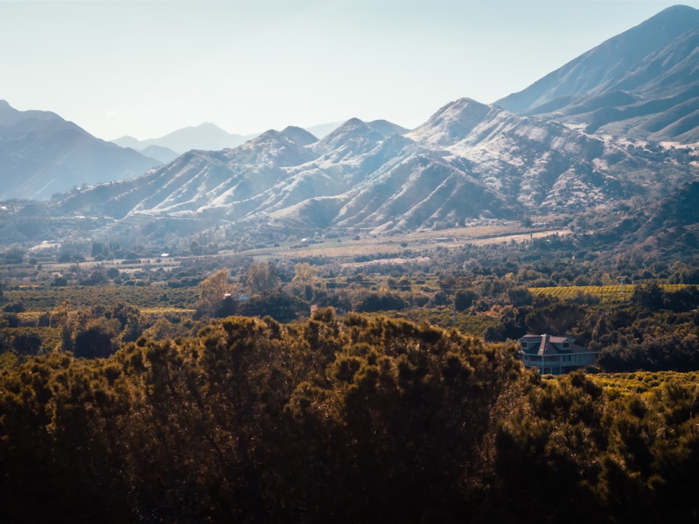 brown mountains