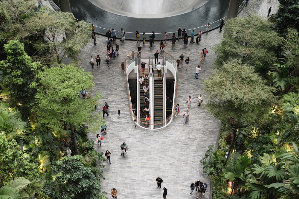 people walking in indoor garden