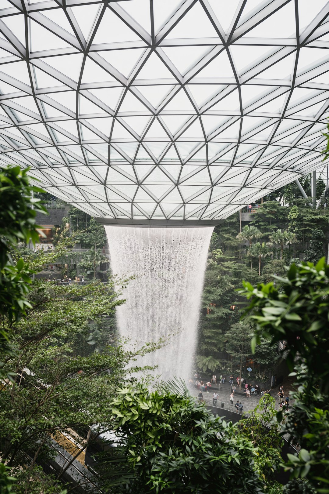 Rainforest photo spot Airport Boulevard Singapore Botanic Gardens