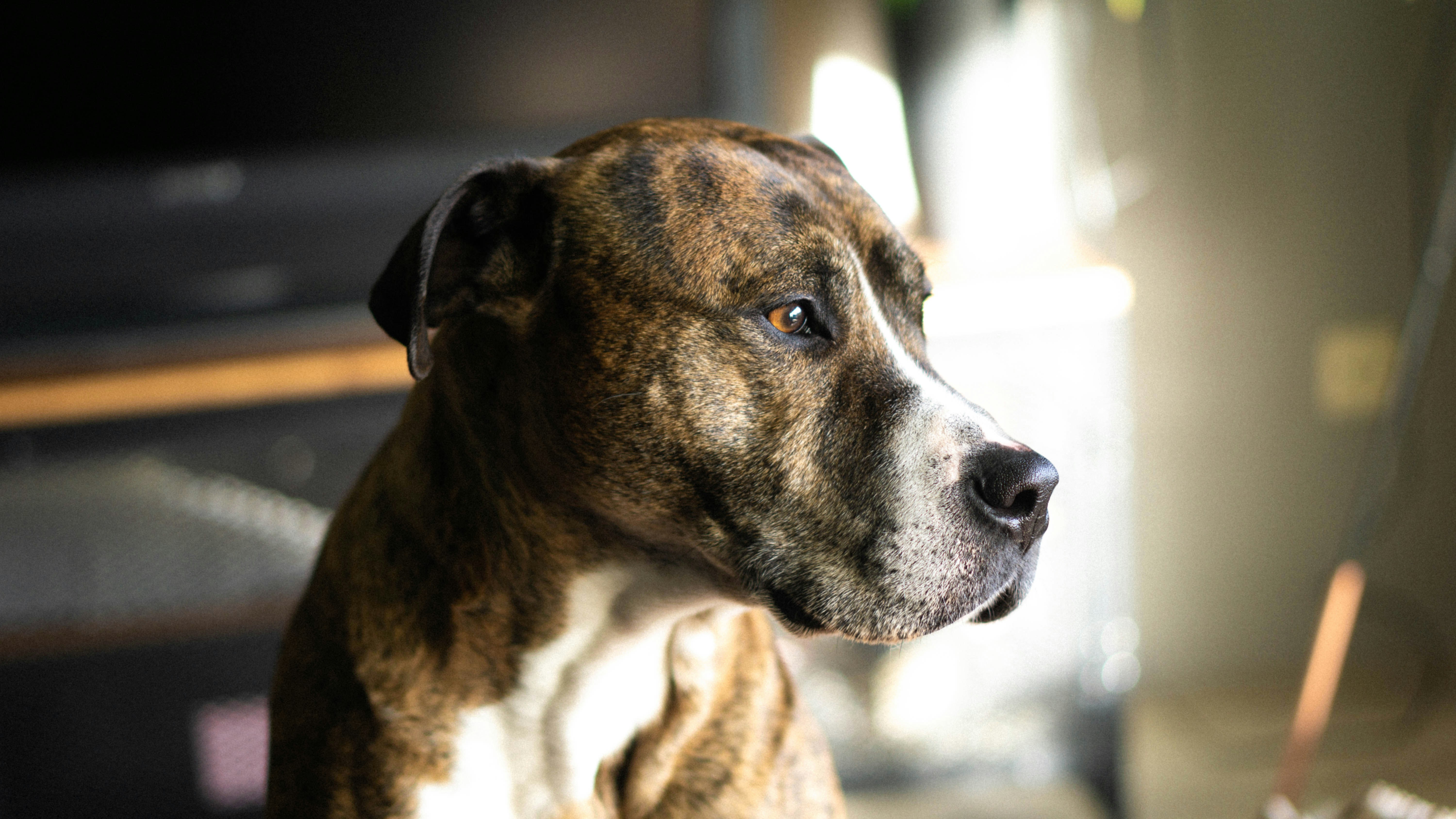 Photo by tsernoshova