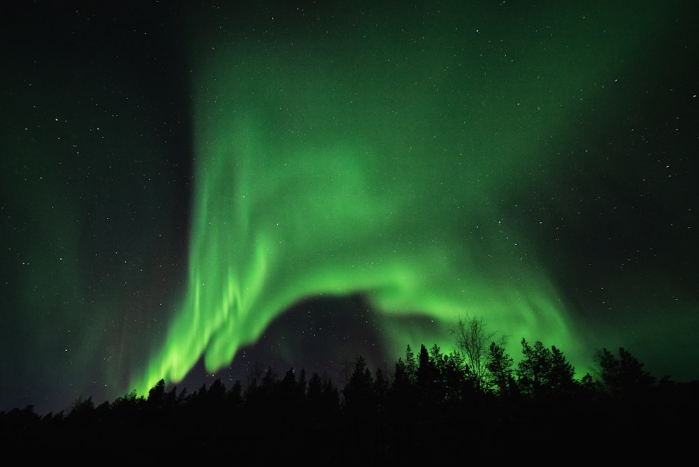 Aurora Borealis during night time