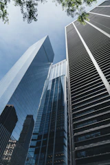 worm view photo of buildings