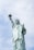 shallow focus photo of Statue of Liberty