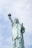 shallow focus photo of Statue of Liberty