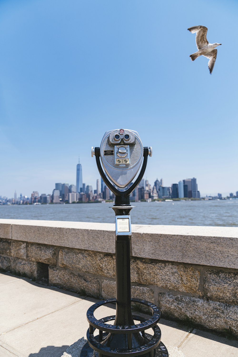 gray coin-operated telescope near pathway and seagull bird flying in the sky viewing New York City under blue and white sky