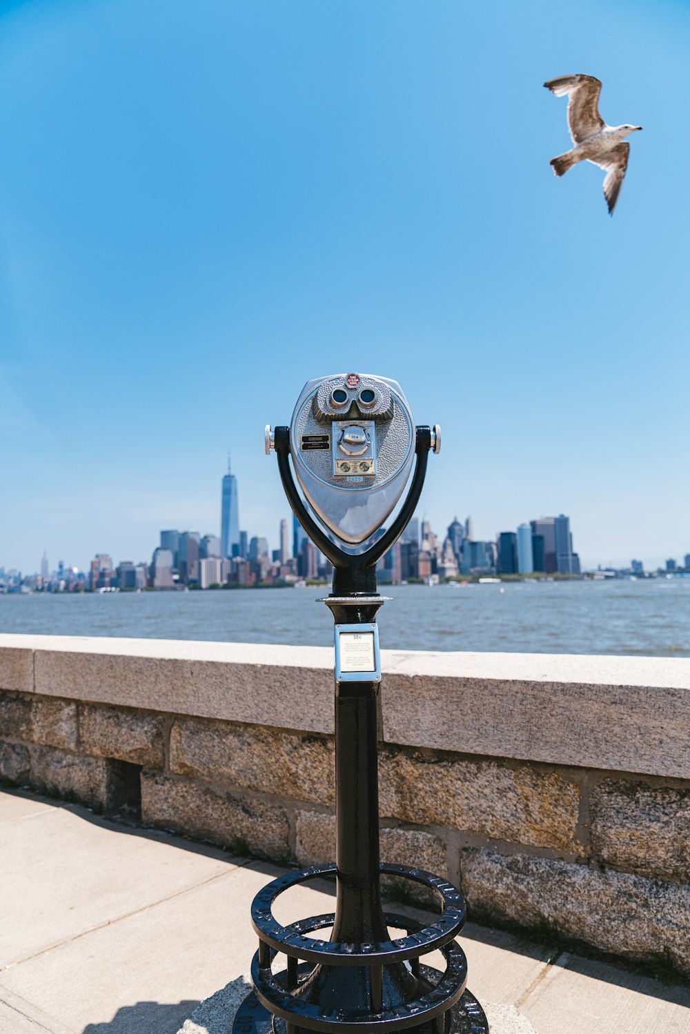 gray coin-operated telescope near pathway and seagull bird flying in the sky viewing New York City under blue and white sky