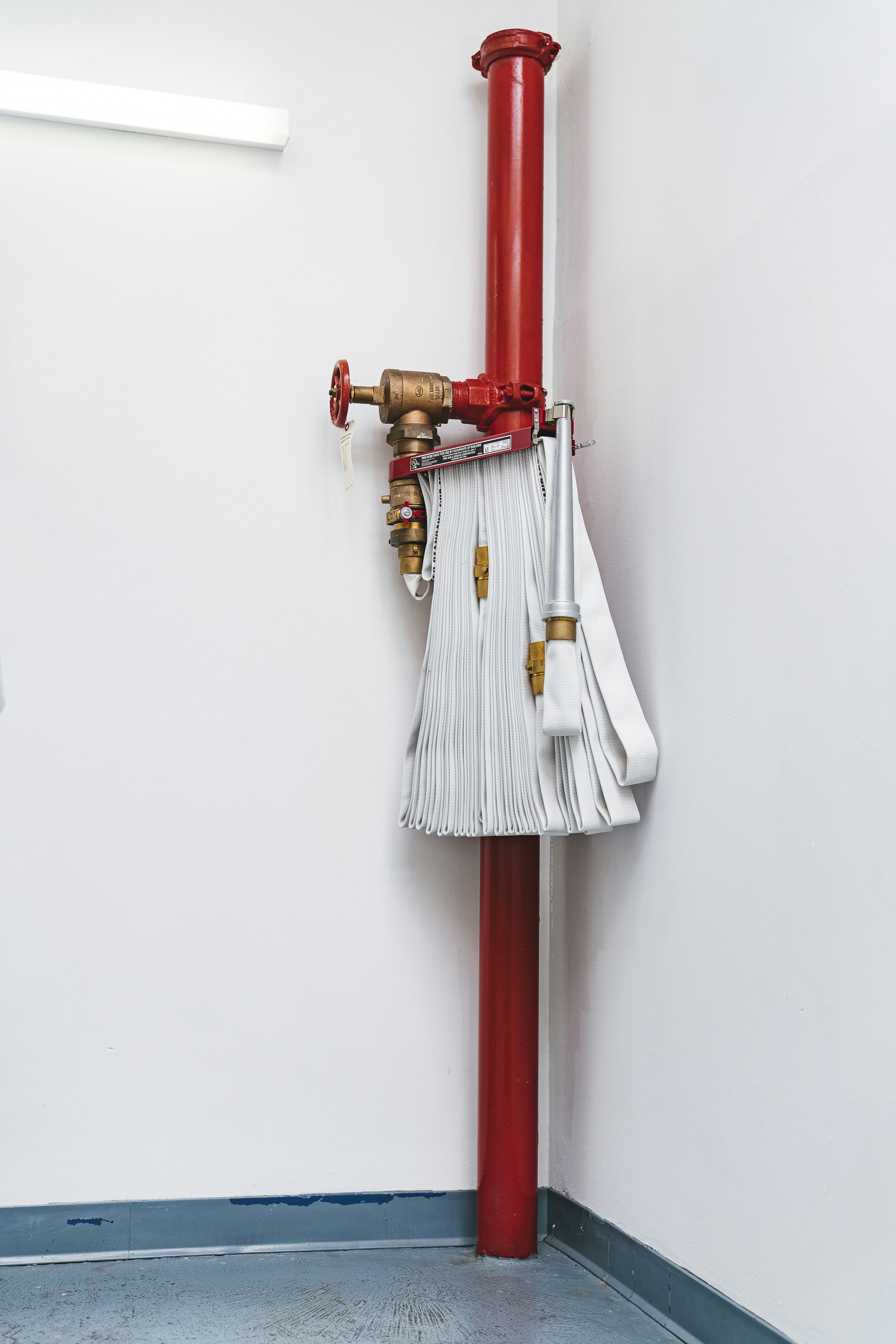 Photo by whodunelson