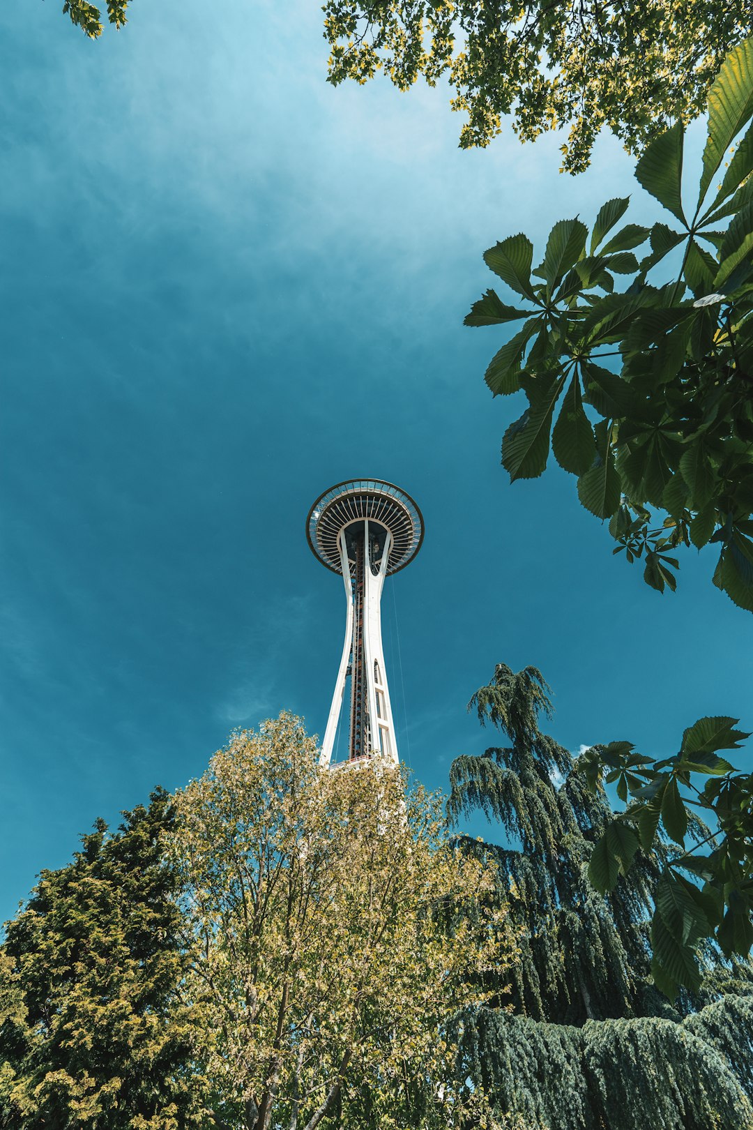 Landmark photo spot Space Needle Downtown Seattle