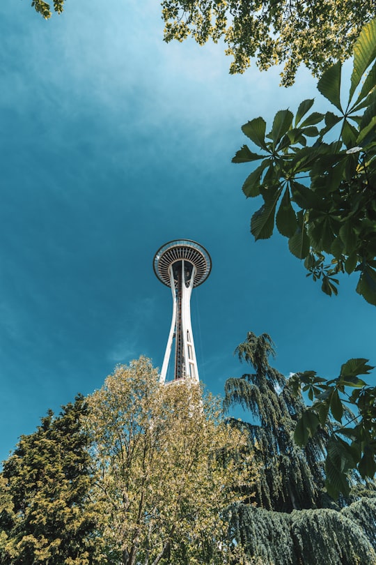white tower in Space Needle United States