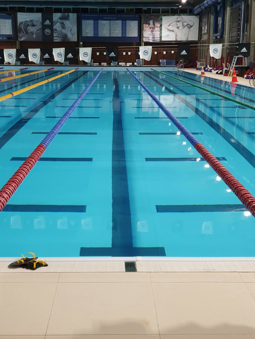 piscina olimpionica blu