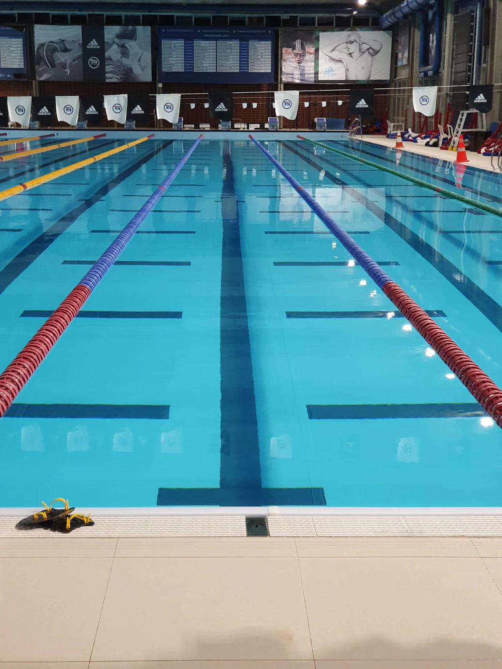 Nageur dans une piscine