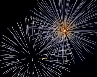fireworks illustration