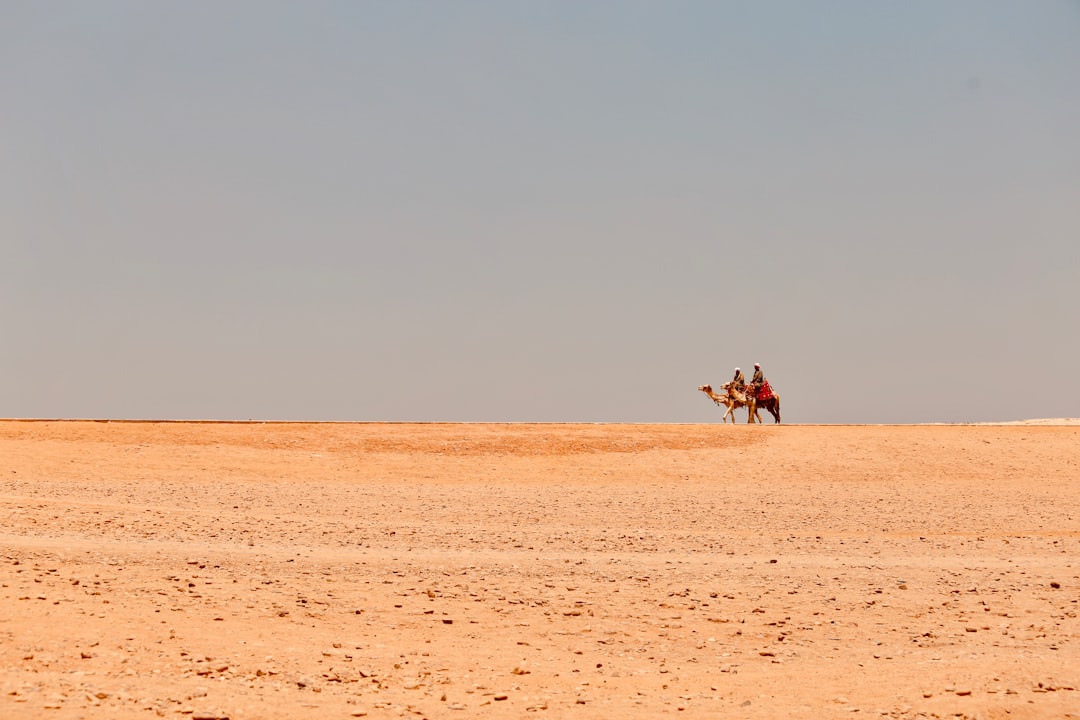 people riding camels at the desert during day