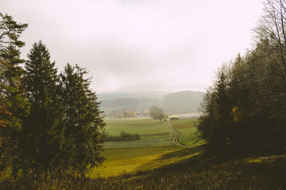 a scenic view of a green field with trees