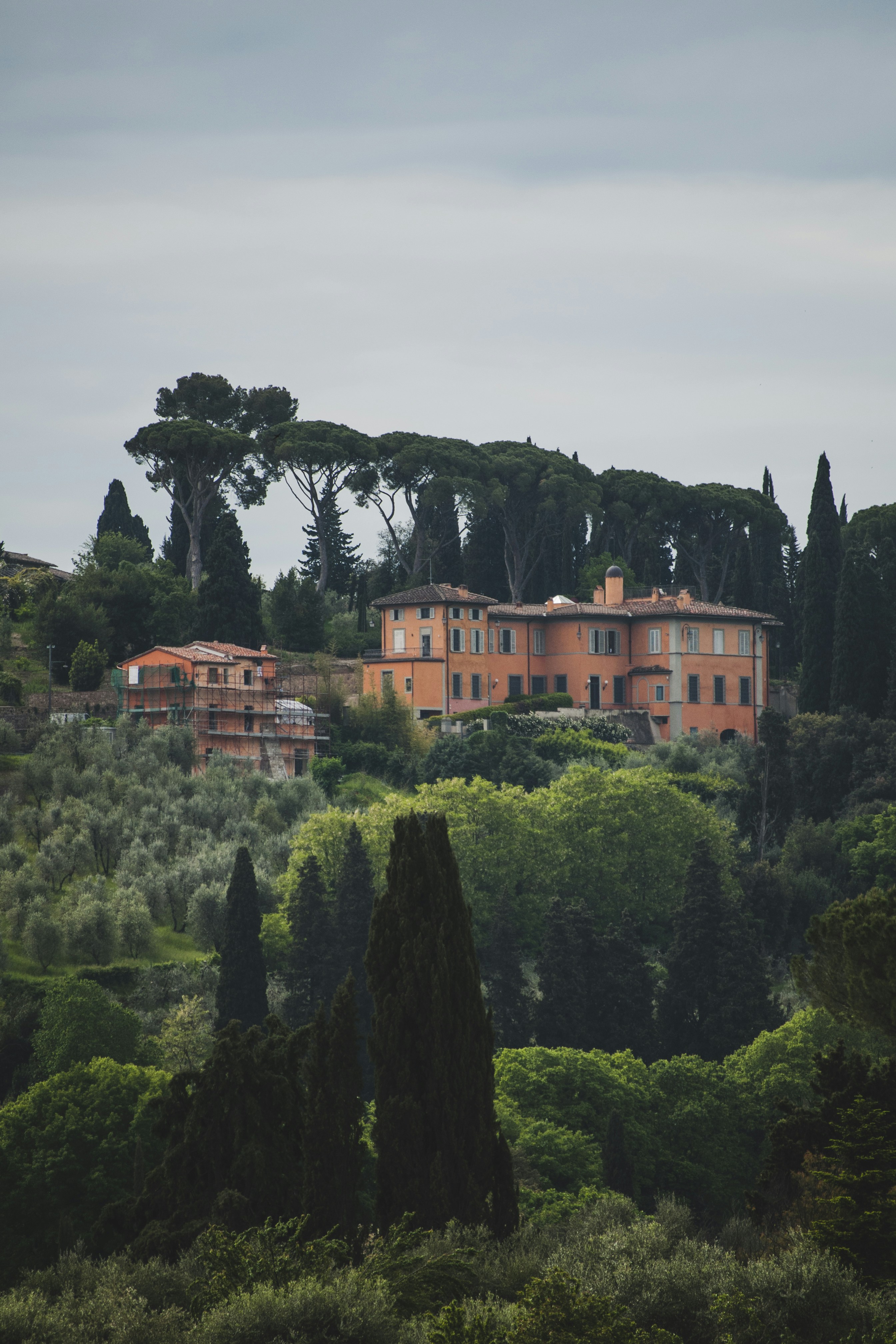 Photo by yuli_superson