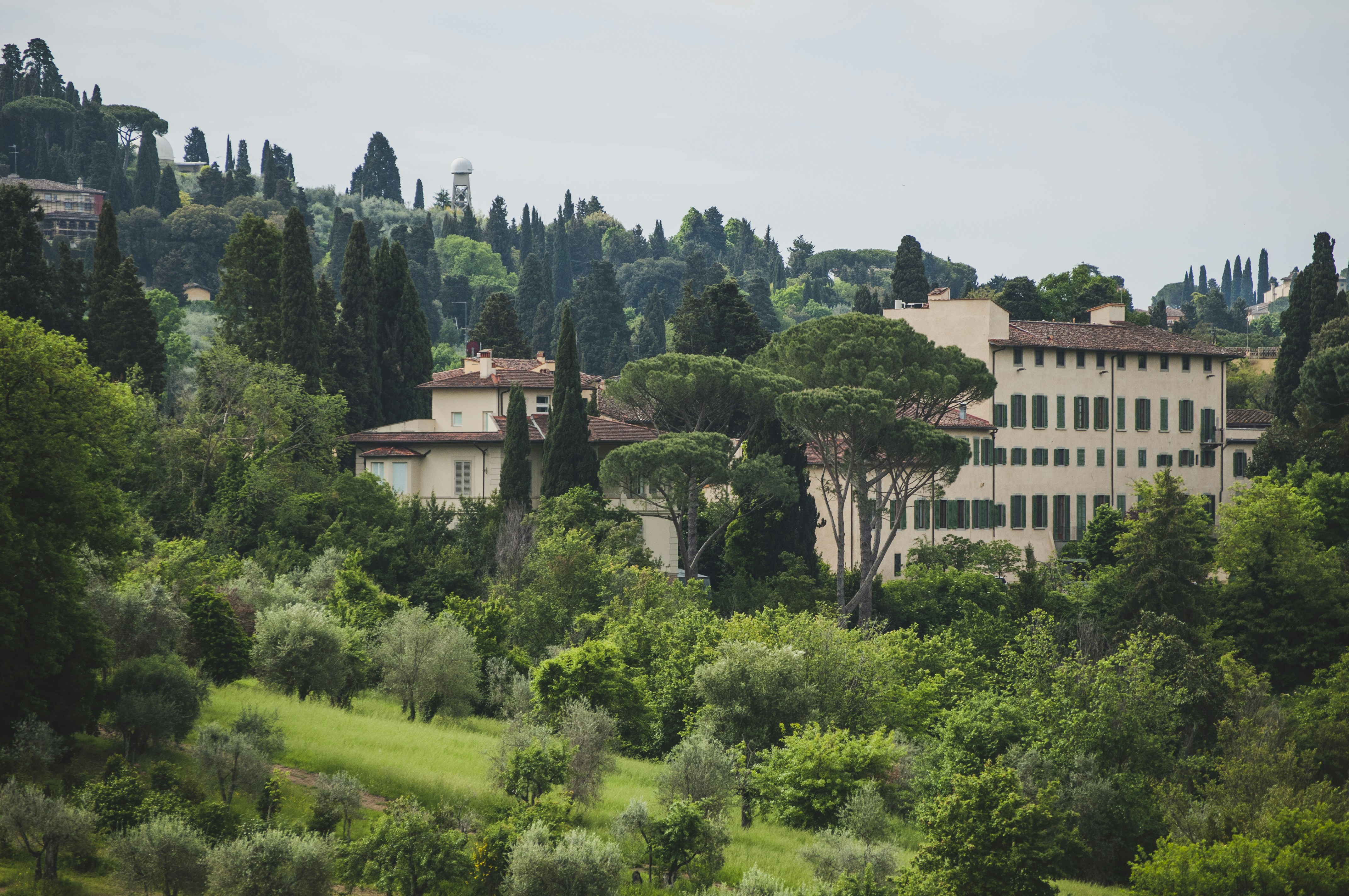 Photo by yuli_superson