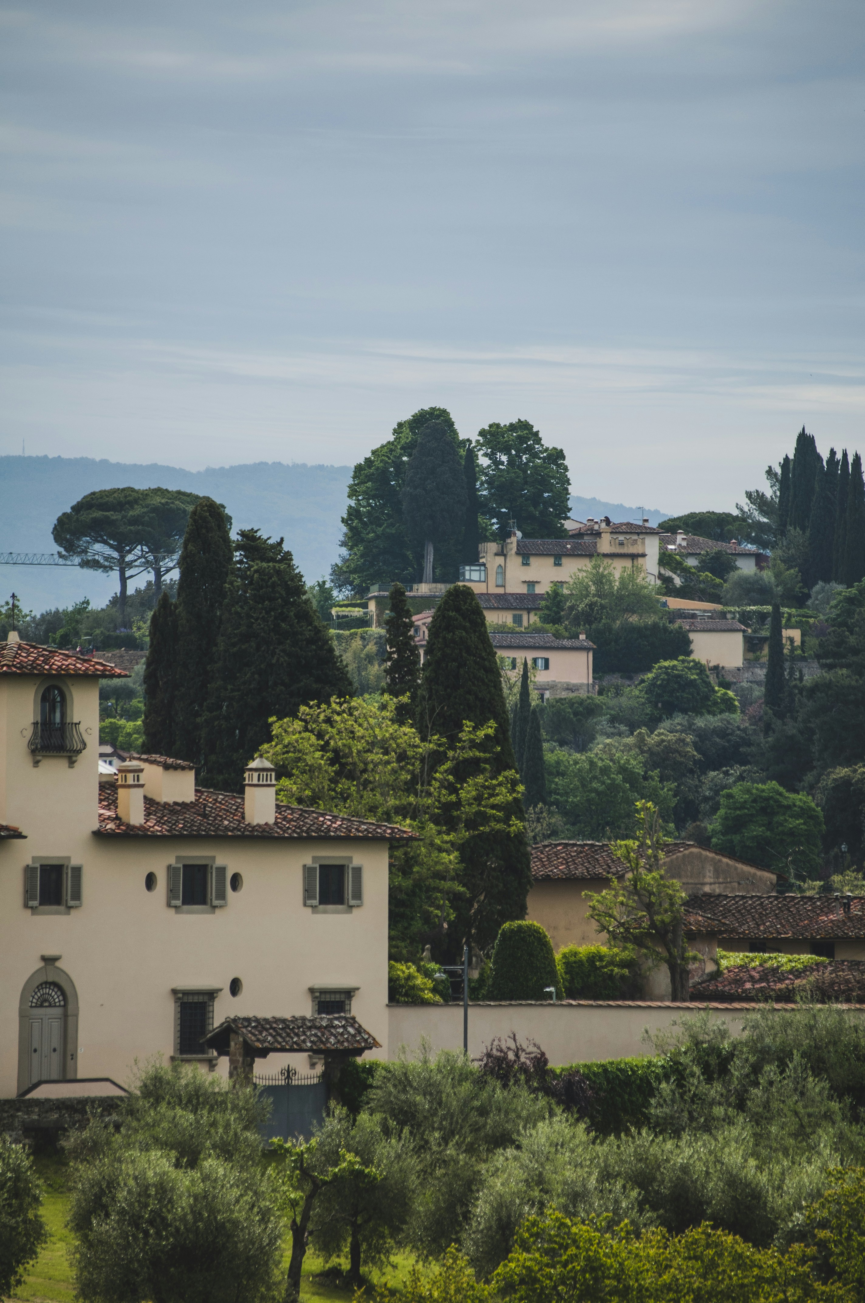 Photo by yuli_superson