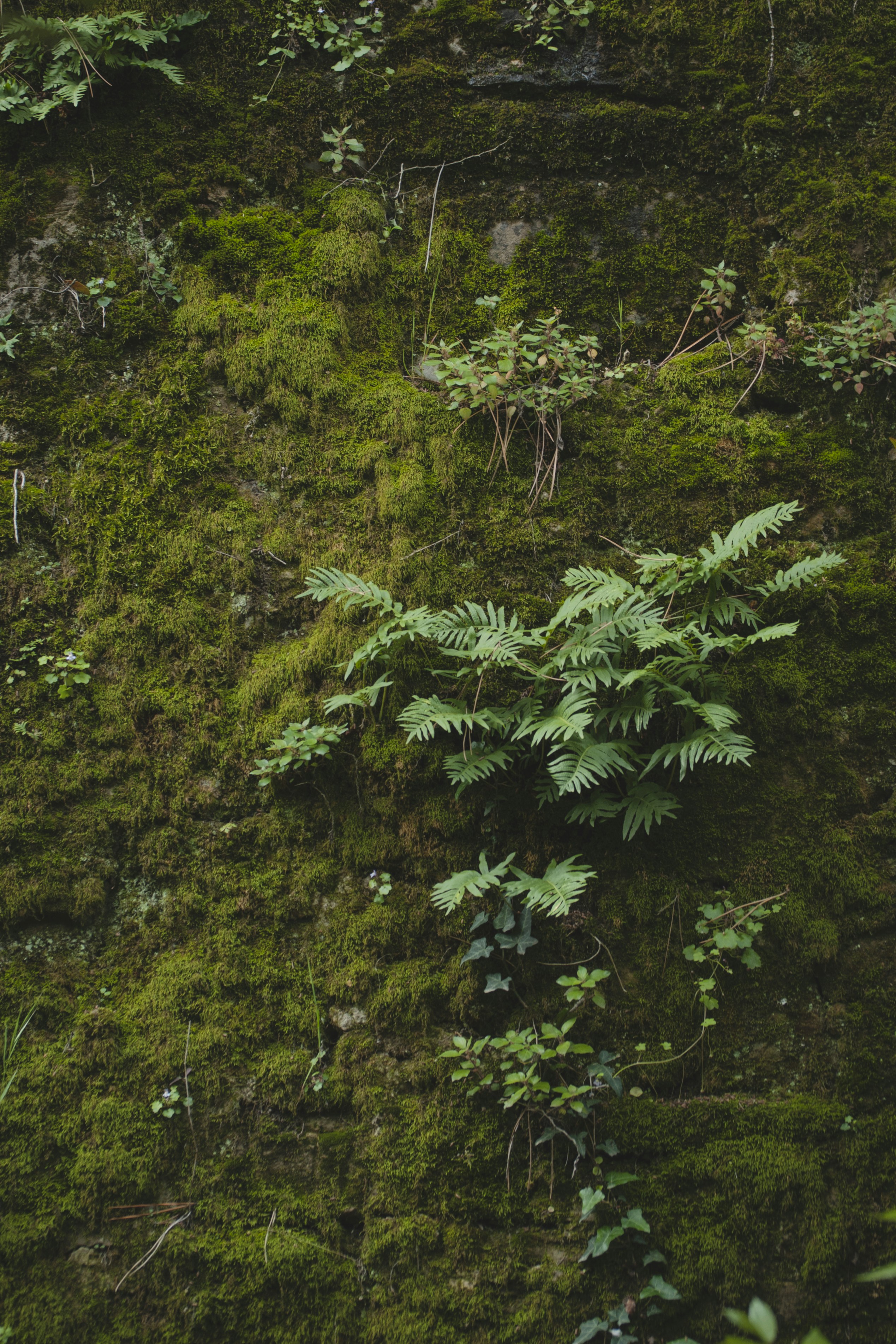 Photo by yuli_superson