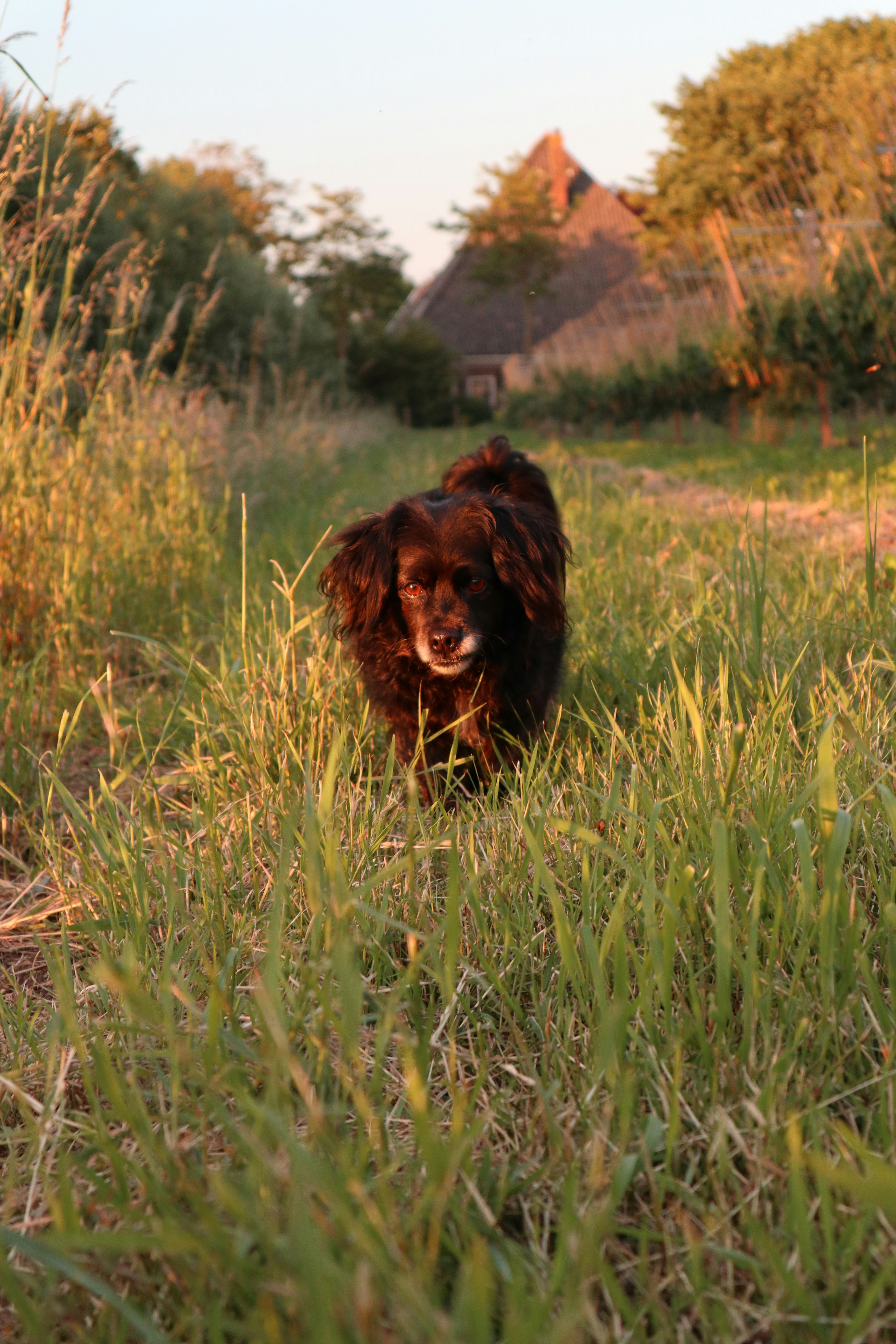 Photo by hetfotohoekje