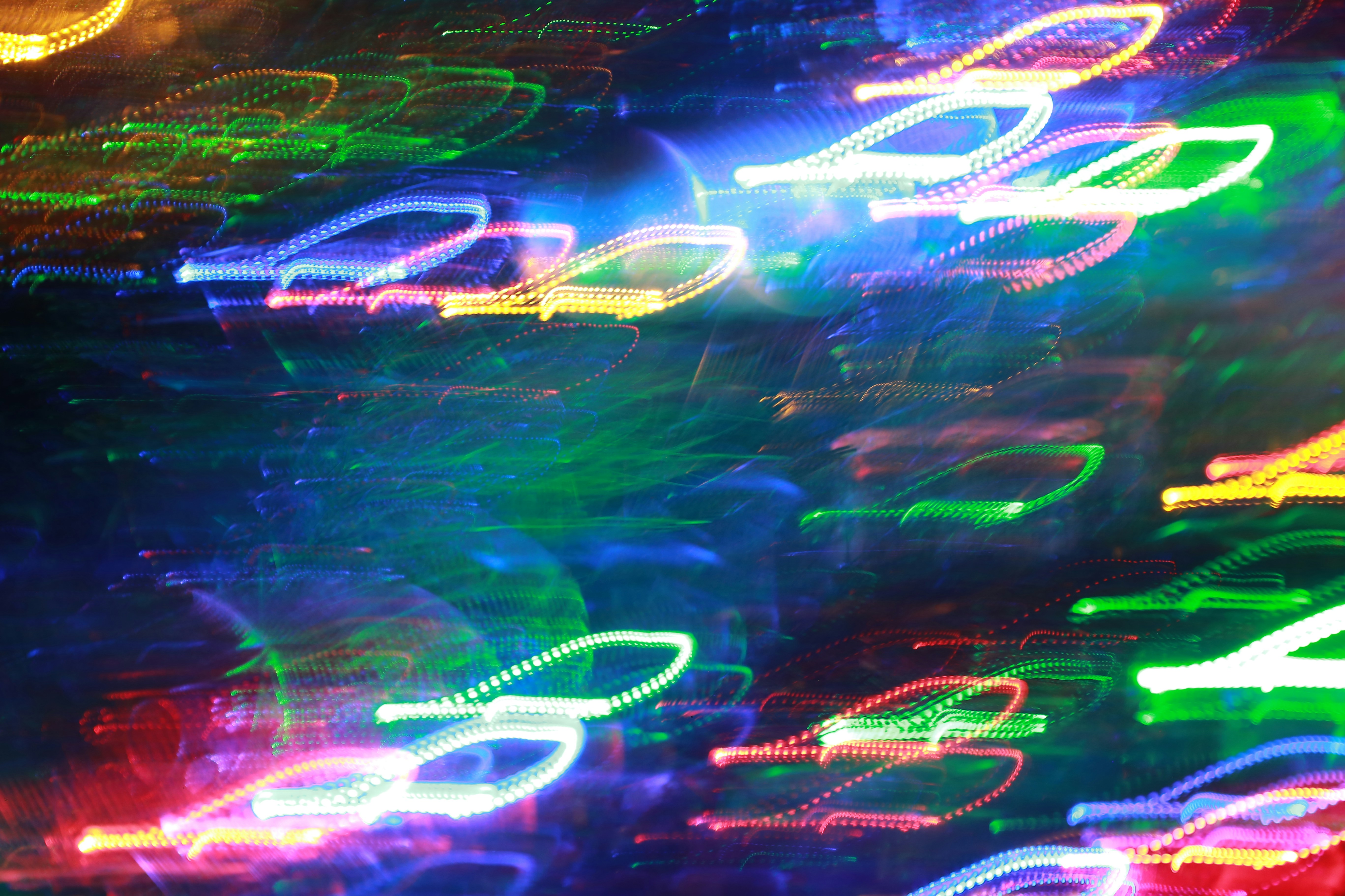 A shoal of brightly colored little fish swims through mysterious dark waters. Or so it seems.