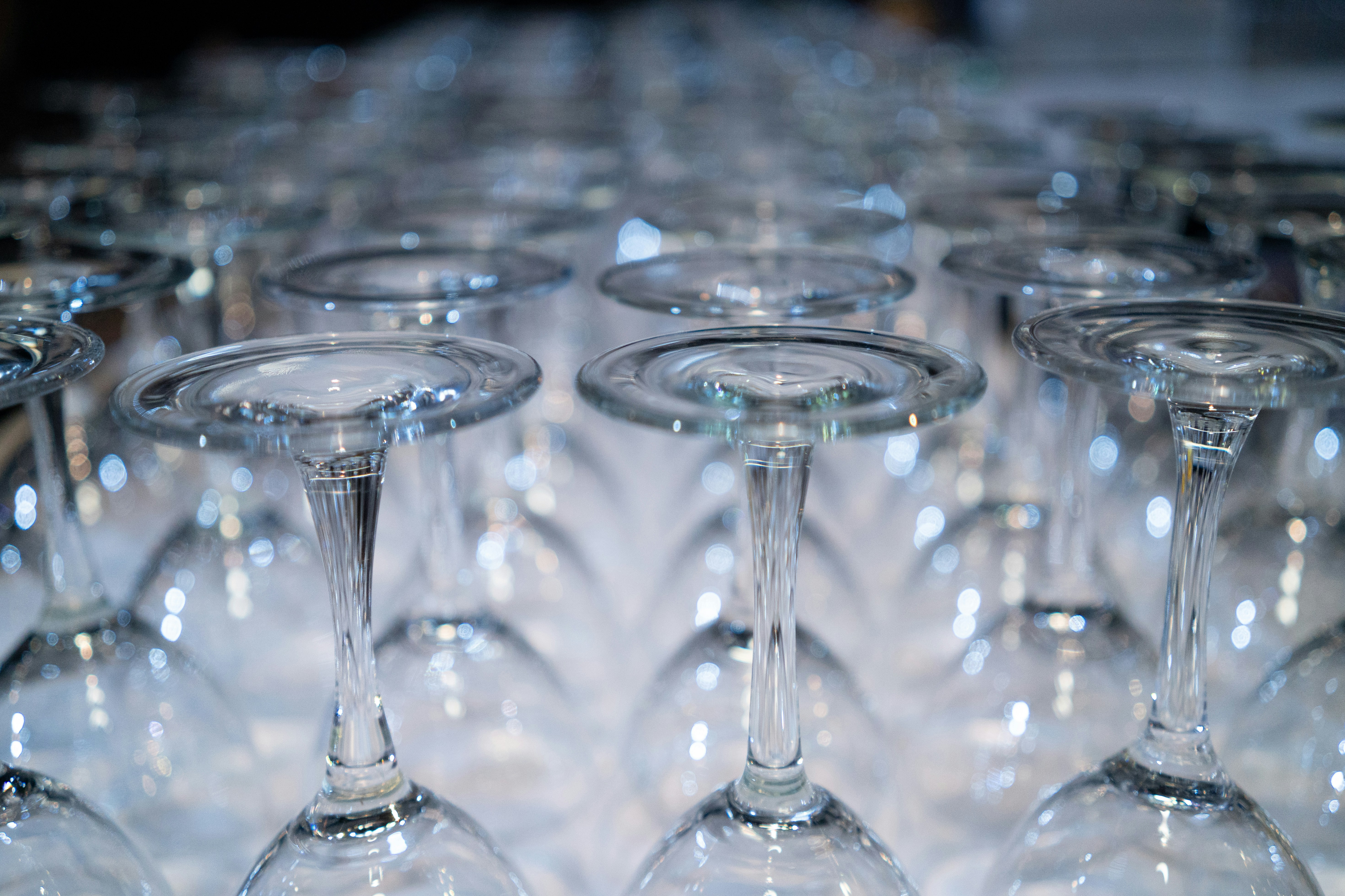 Photo by ryankelleher