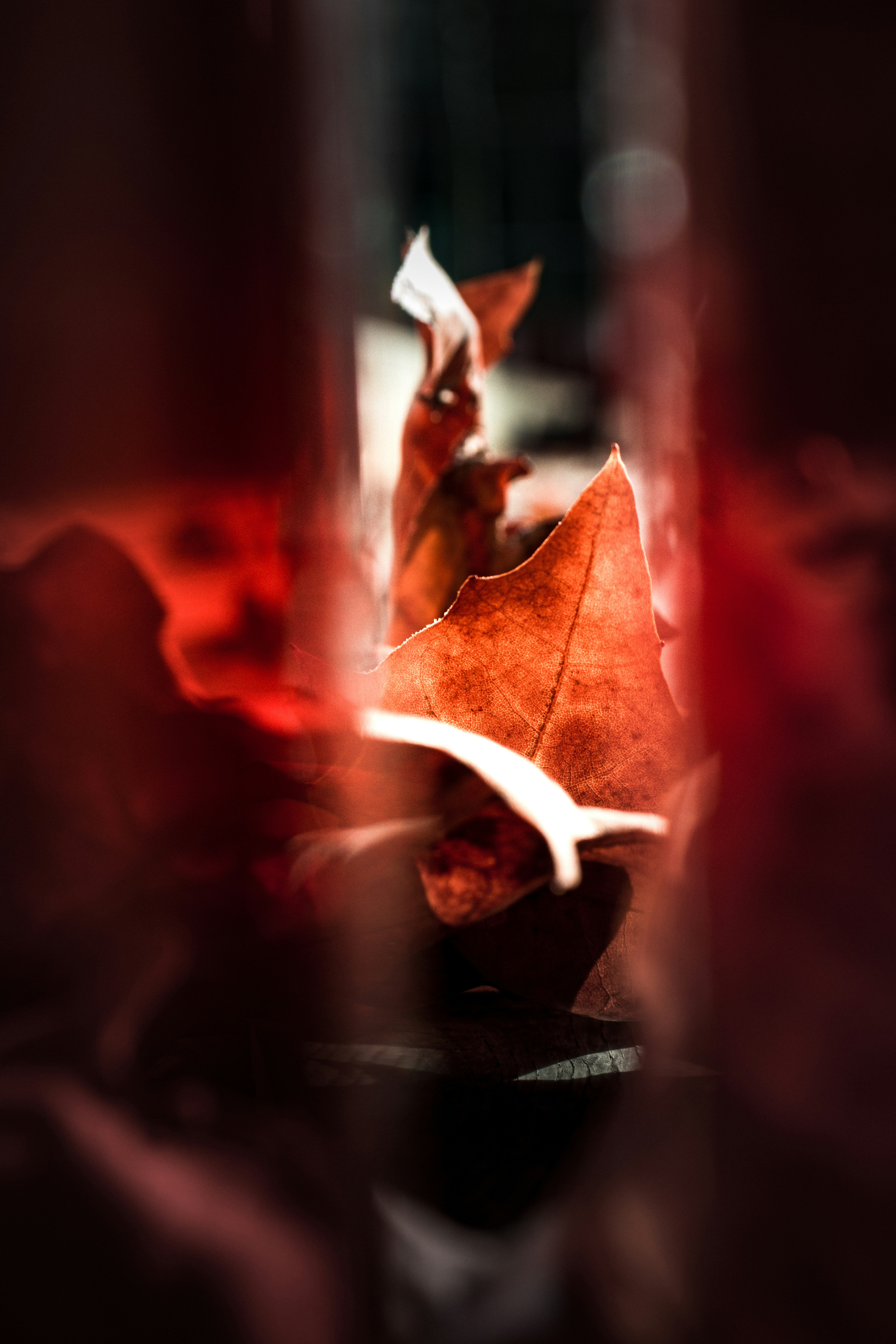 Photo by valentinlacoste