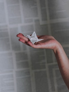 person holding bird origami