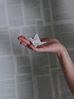 person holding bird origami