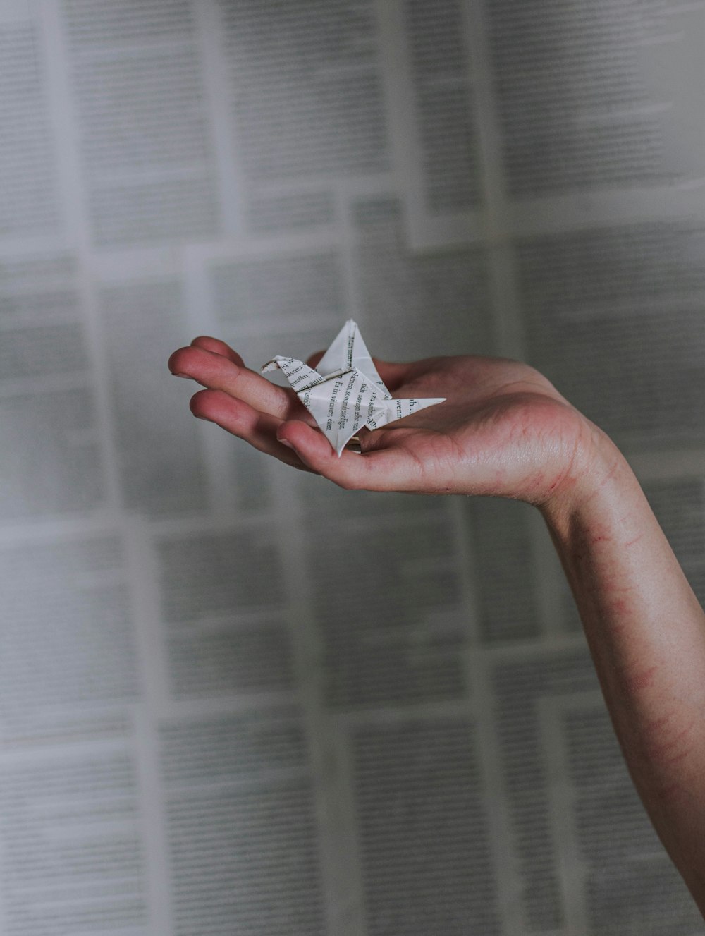 person holding bird origami
